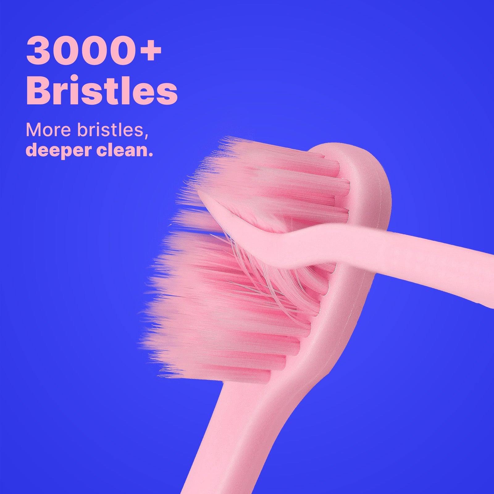 Max Adult Toothbrush (Macaron Mix)