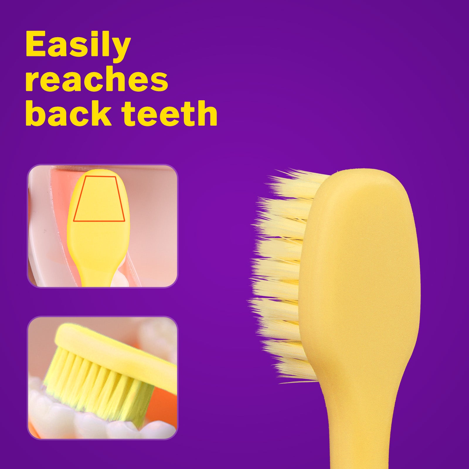 Easily reaches back teeth with a bright yellow toothbrush featuring soft bristles on a vibrant purple background.