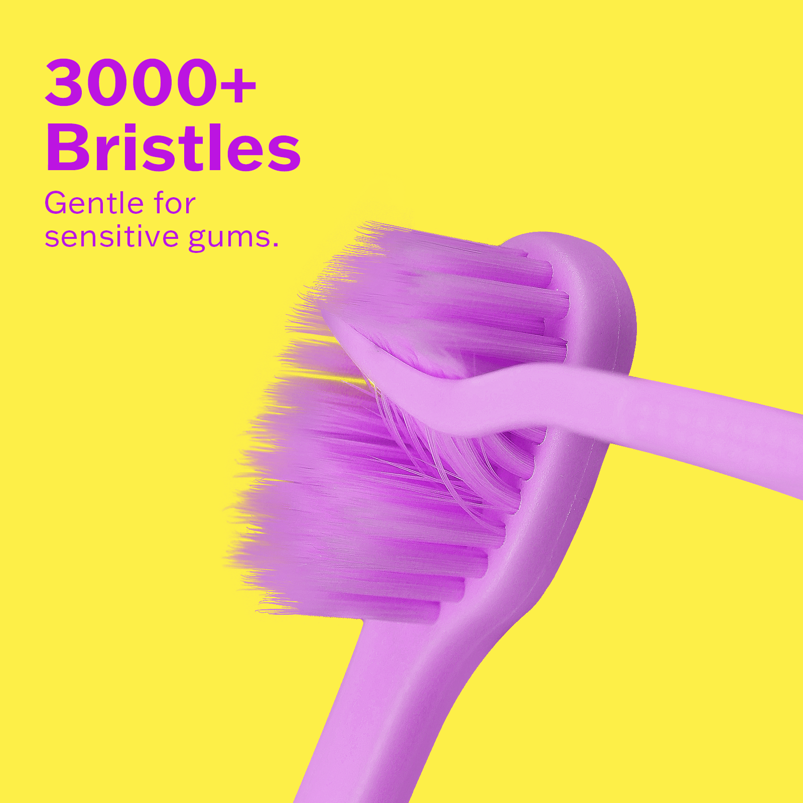 Close-up of 3,000+ extra-soft lavender bristles on the Max Toothbrush, designed for a gentle clean on sensitive gums